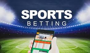 The Thrill of Betting Exploring Baji Live